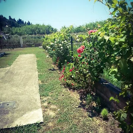 Apartment Feakes Arillas (Corfu)