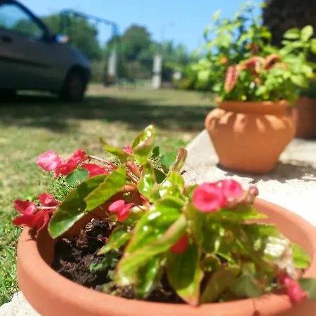 Apartment Feakes Arillas (Corfu)