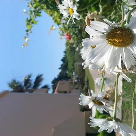 Lägenhet Feakes Arillas (Corfu)