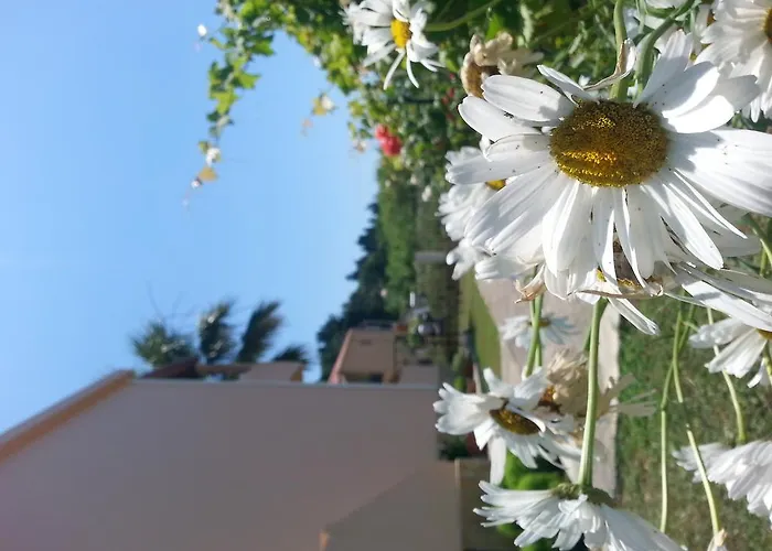 Apartamento Feakes Arillas (Corfu)