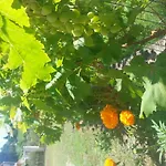 Apartament Feakes *